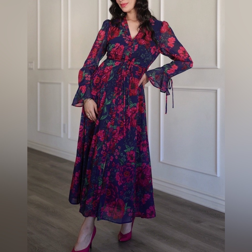 Hermoza Cristina Button Front Maxi Dress in Floral Chiffon size XS